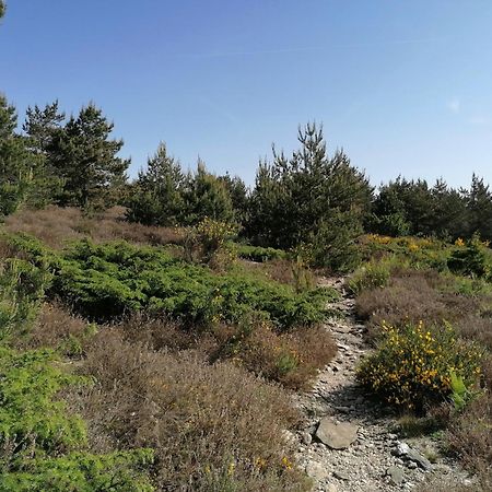 Gite Cote Nature Cabrerolles Екстер'єр фото