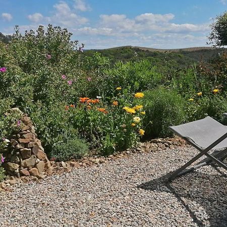 Gite Cote Nature Cabrerolles Екстер'єр фото
