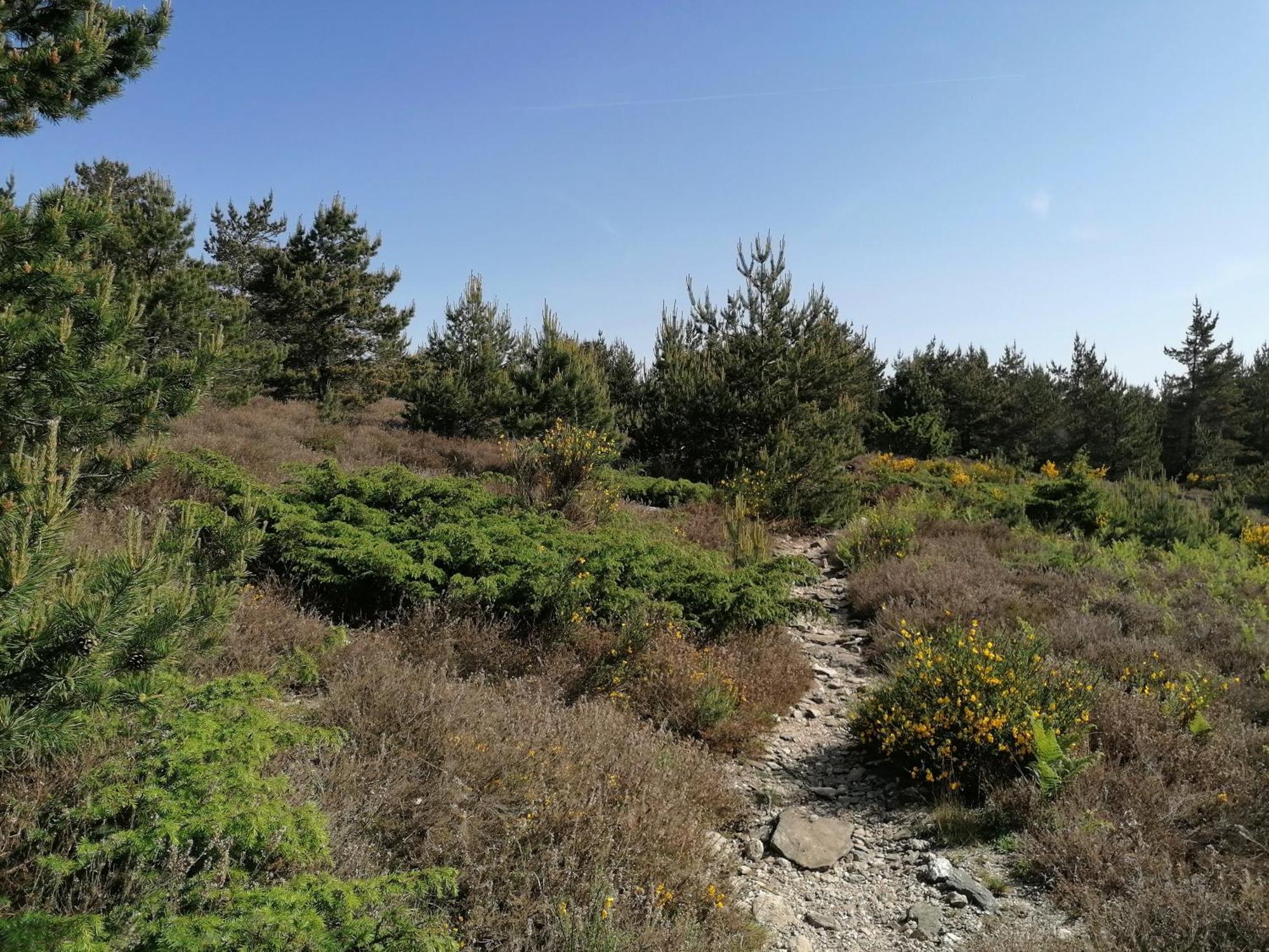 Gite Cote Nature Cabrerolles Екстер'єр фото